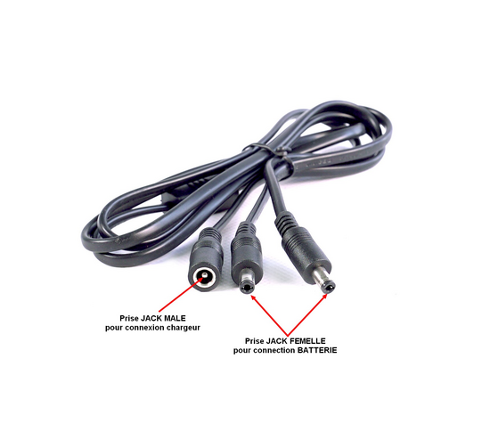 Cble CIAR en Y N400010427 - 1 prise JACK mle et 2 prises JACK femelles